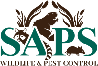 logo-2